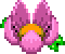 lotusplant.gif (1520 bytes)