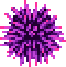 seaurcchin.gif (1660 bytes)
